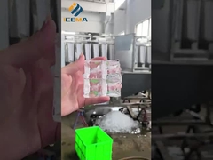 Macchine per ghiaccio a pellet industriali di alta qualità in fase di messa in servizio