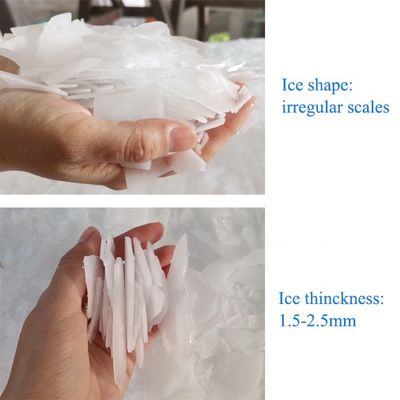 Macchina per il ghiaccio a scaglie d'acqua dolce 2T 380V/220V con accumulo di ghiaccio