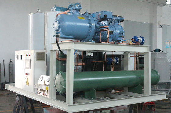 Raffreddamento diretto della macchina per il ghiaccio in scaglie d'acqua dolce da 20 tonnellate
