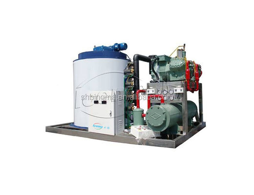 Buon prezzo Macchina per il ghiaccio a scaglie d'acqua dolce da 1 tonnellata commerciale 380 V 220 V in linea