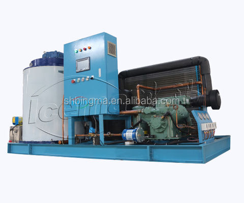 Macchina per il ghiaccio a scaglie d'acqua dolce da 1 tonnellata commerciale 380 V 220 V