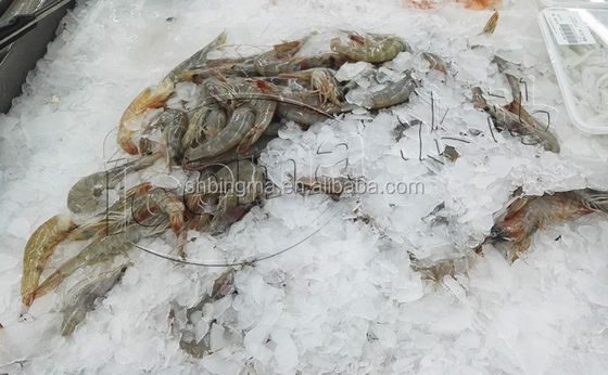 Macchina per il ghiaccio a scaglie d'acqua dolce da 1 tonnellata commerciale 380 V 220 V