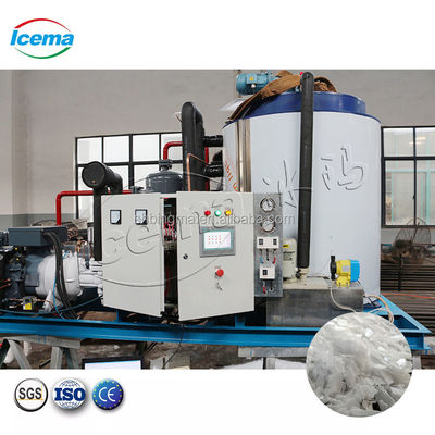 Buon prezzo Macchina per il ghiaccio in scaglie d'acqua dolce da 30 tonnellate 220V industriale automatica in linea