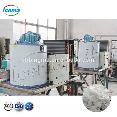 Macchina per il ghiaccio in scaglie d'acqua dolce da 30 tonnellate 220V industriale automatica