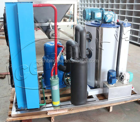 Macchina per il ghiaccio in scaglie d'acqua dolce da 30 tonnellate 220V industriale automatica
