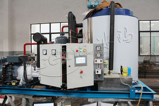 Macchina per il ghiaccio a scaglie d'acqua dolce industriale da 20 tonnellate 220V