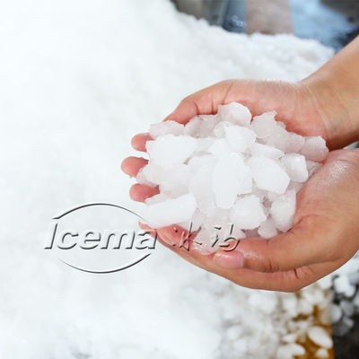 Piccola macchina per tritaghiaccio commerciale in acciaio inossidabile