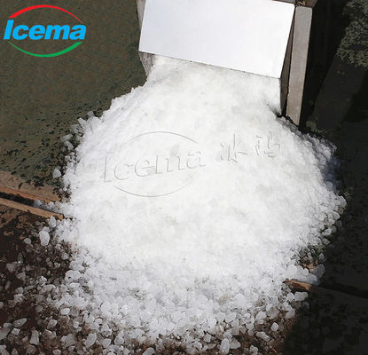 Macchina per tritaghiaccio elettrico per uso domestico in acciaio inossidabile