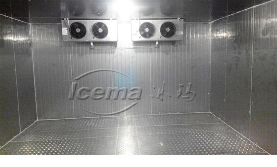 Sala frigorifera di alta qualità mantenendo i cibi freschi in ambienti industriali