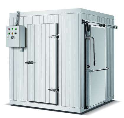 Buon prezzo Congelatore da 800 tonnellate in cella frigorifera 100mm 200mm 120mm 75mm in linea