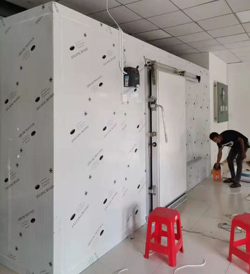 Commerciale Prezzo della sala frigorifera contenitore da 20 piedi camminare in congelatore