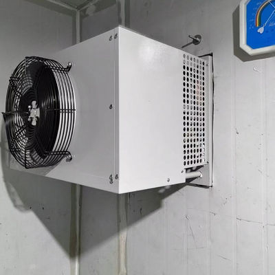 Buon prezzo Unità di condensazione evaporativa del congelatore industriale della cella frigorifera in linea