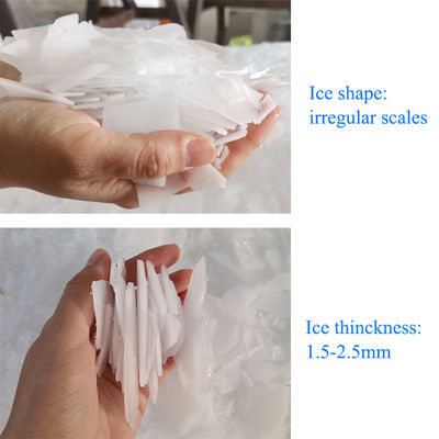 10T/24H Acqua di mare Flake Ice Machine Ice Maker Industrial Commercial Installato su una nave