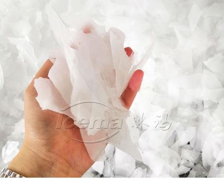 Cina 50 tonnellate/giorno macchine per il raffreddamento con fiocco di neve in contenitori con prezzo di fabbrica