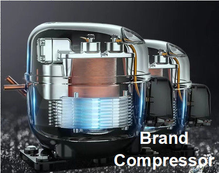 1350L apparecchiatura di refrigerazione commerciale doppia porta congelatore verticale