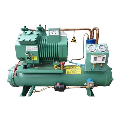 Unità di raffreddamento del compressore dell'unità di condensazione raffreddata ad aria 230V 380V